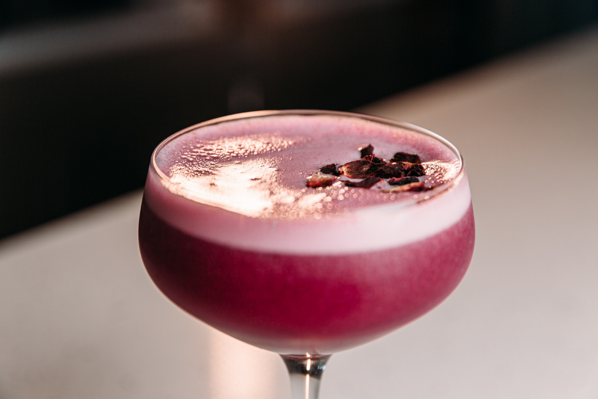 Shiraz Gin Sour cocktail