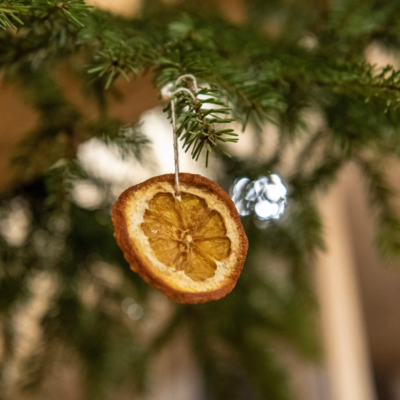 Dehydrated Orange Christmas Ornament