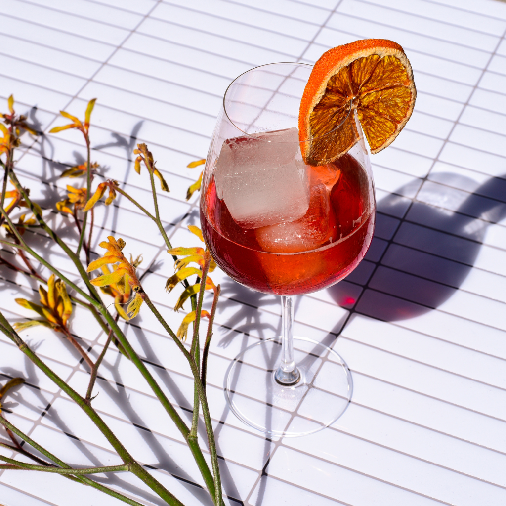 Shiraz Gin Spritz